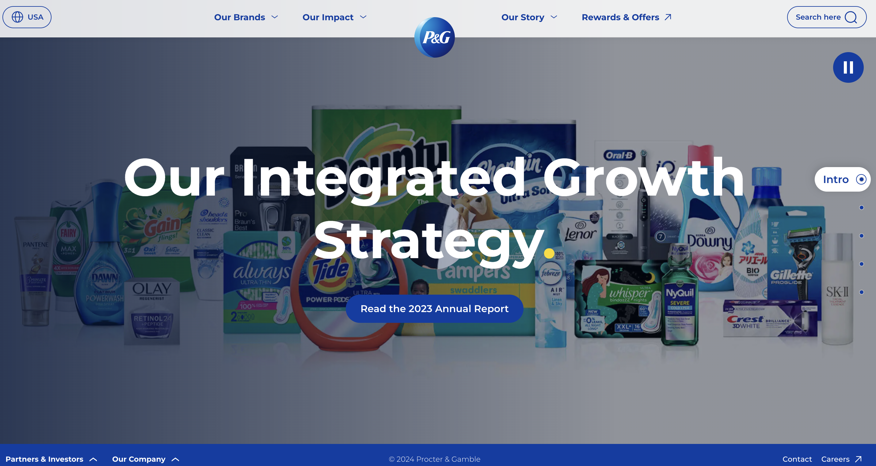 P&G Market overview 2024